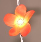 Orange Frrangipani Fairy Lights individual_sml.jpg